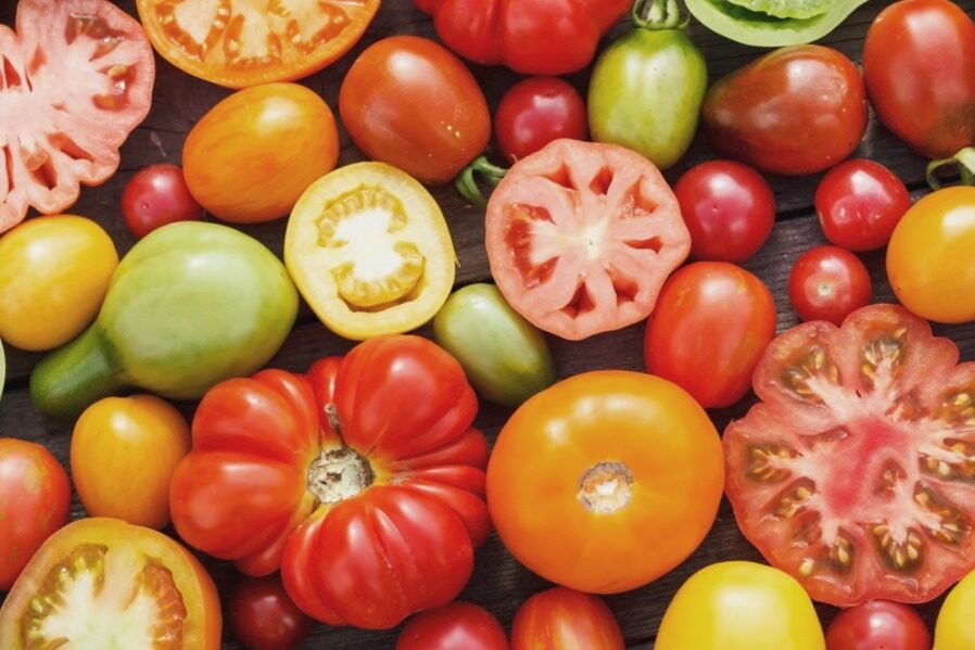 Tomatoes (Different Varieties) /Solanum Lycopersicum/