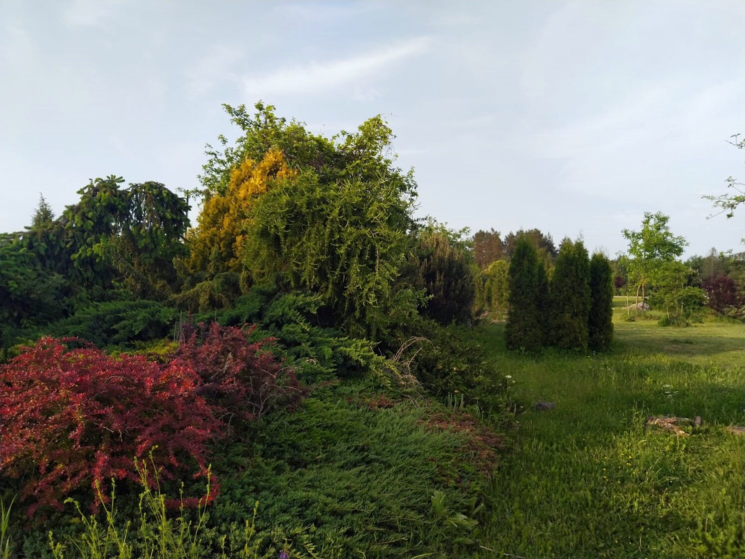 Stādaudzētava Sakstagals